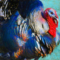 Turkki Lurky, 2018,